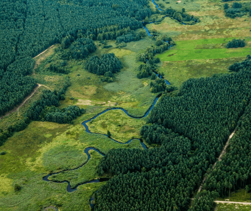 Aankoop natuurgrond